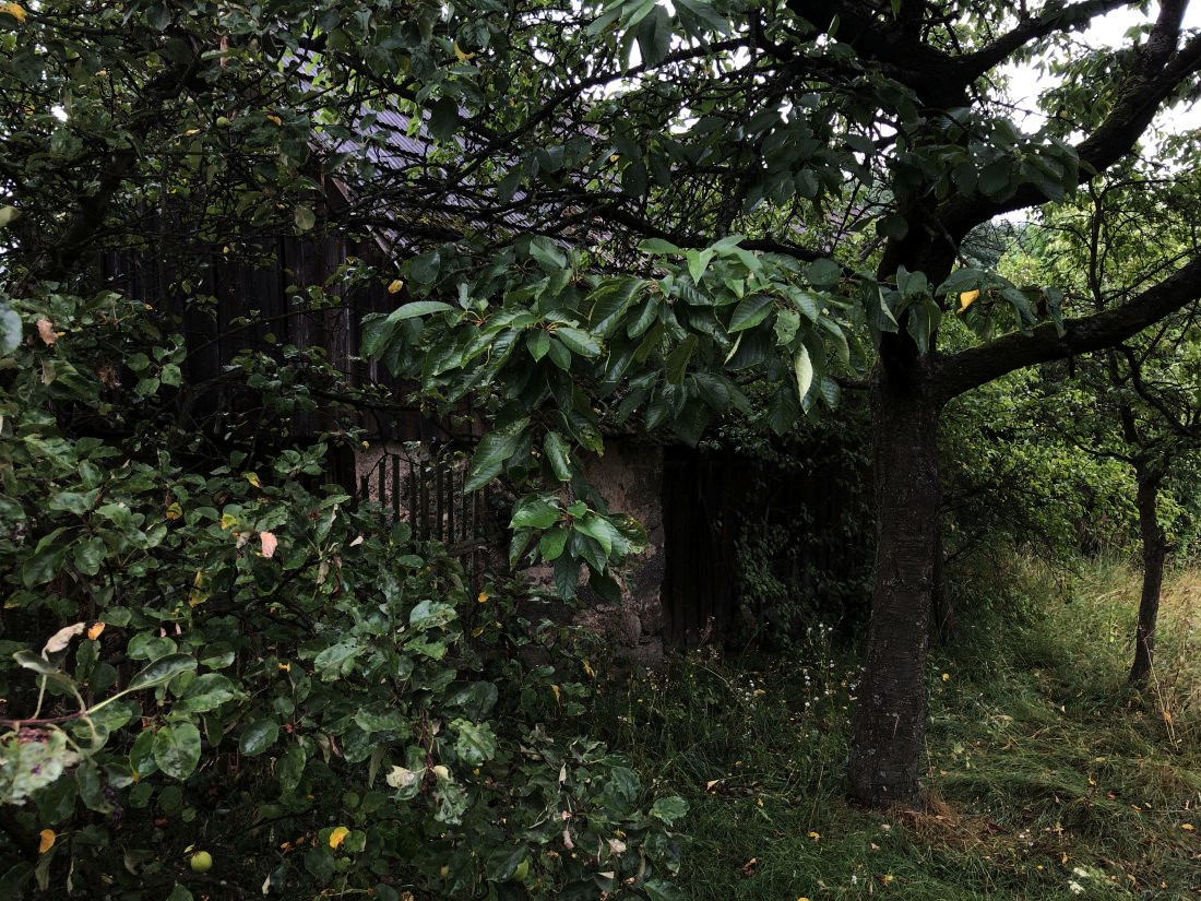 Mám rád tahle temná zátiší