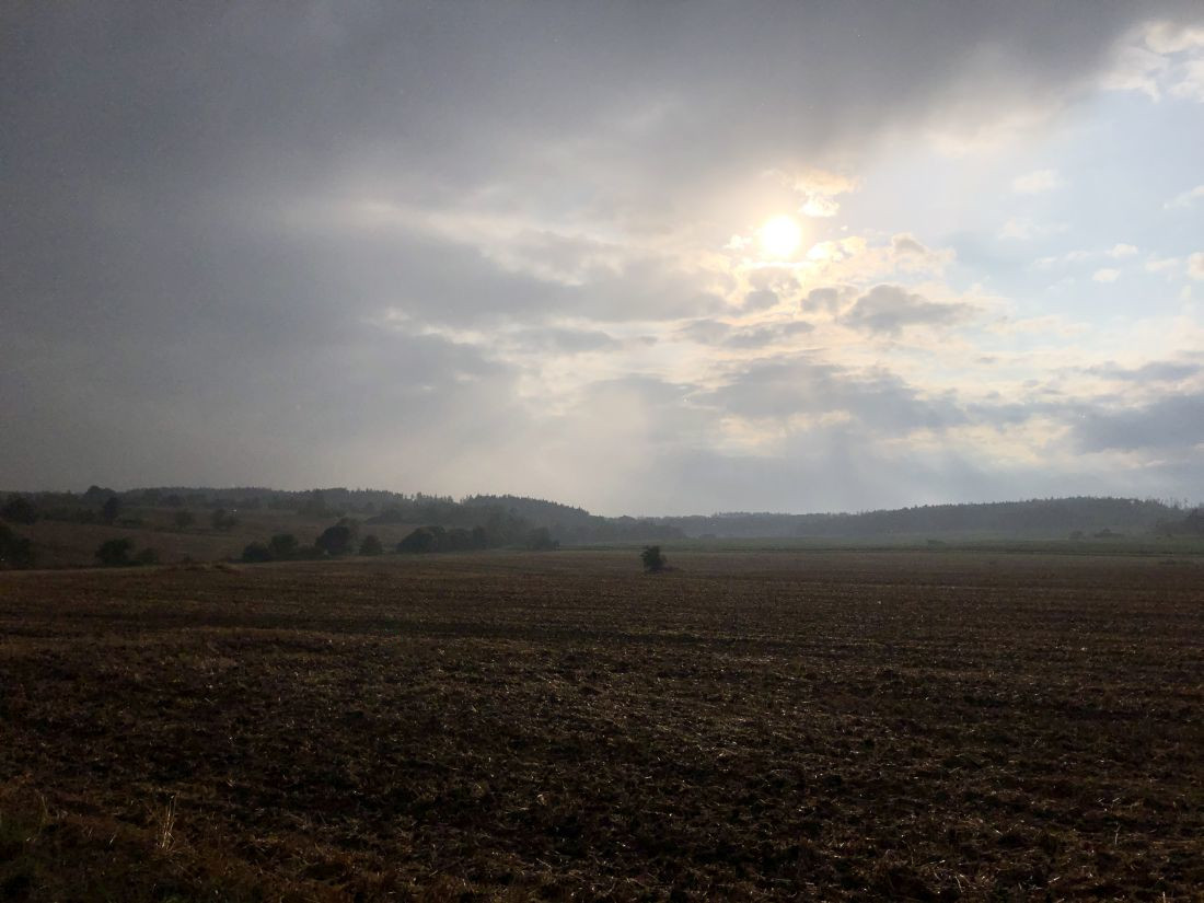 Právě jsem utekl jednomu dešti