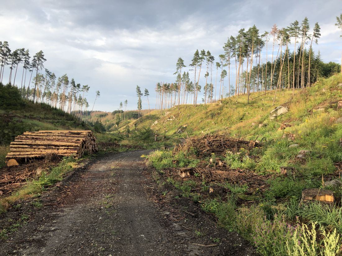 Tady někde se konalo první Pod Parou