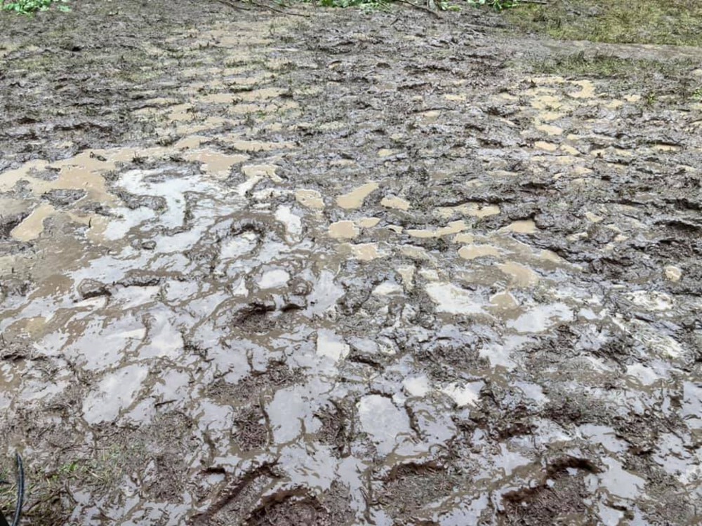 Tohle bylo skoro všude