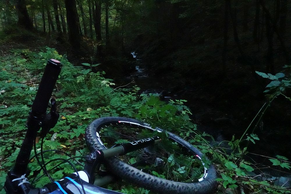 Temné Beskydské hvozdy