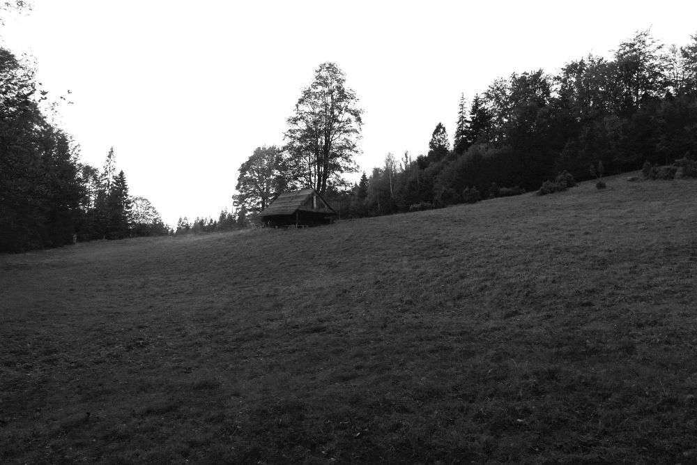 Louka a chatka, kterou jsem objevil až teď, po takových letech