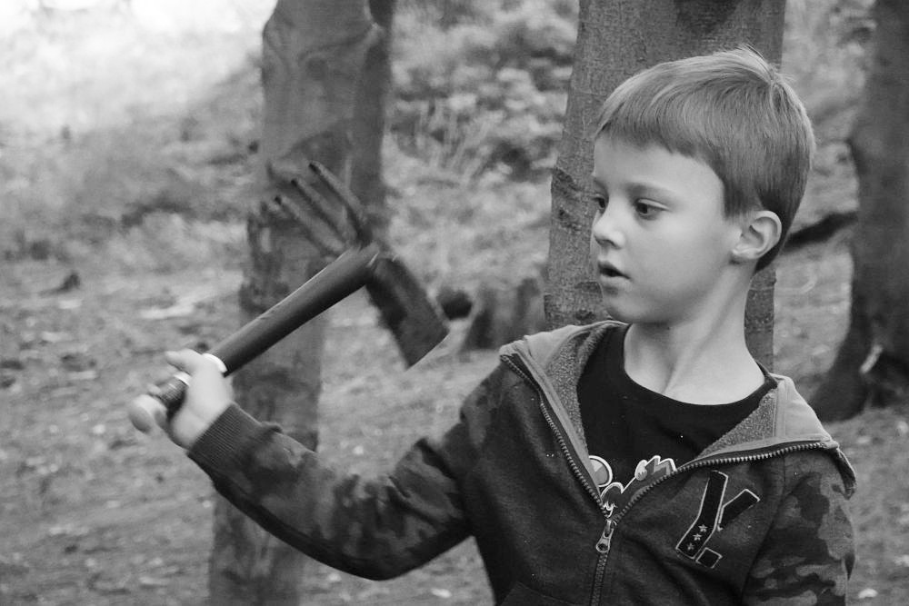 Vše se musí posekat