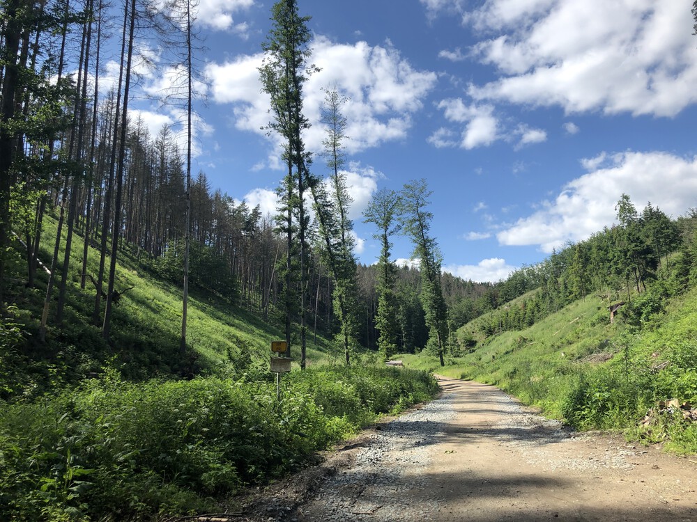 Z Blanska po zelené