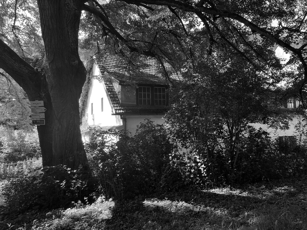 Oblíbené místo - Nový mlýn v Údolí Bobravy