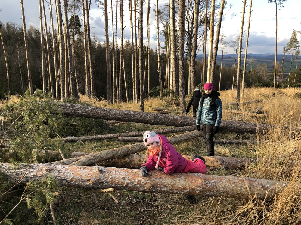 Po zelené značce dolů