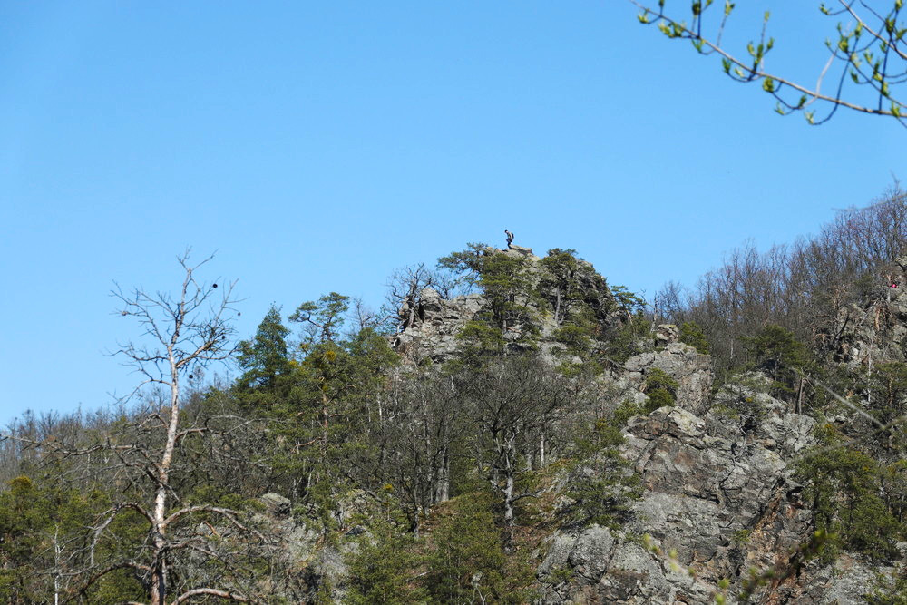 Taky jsem si tam vylezl
