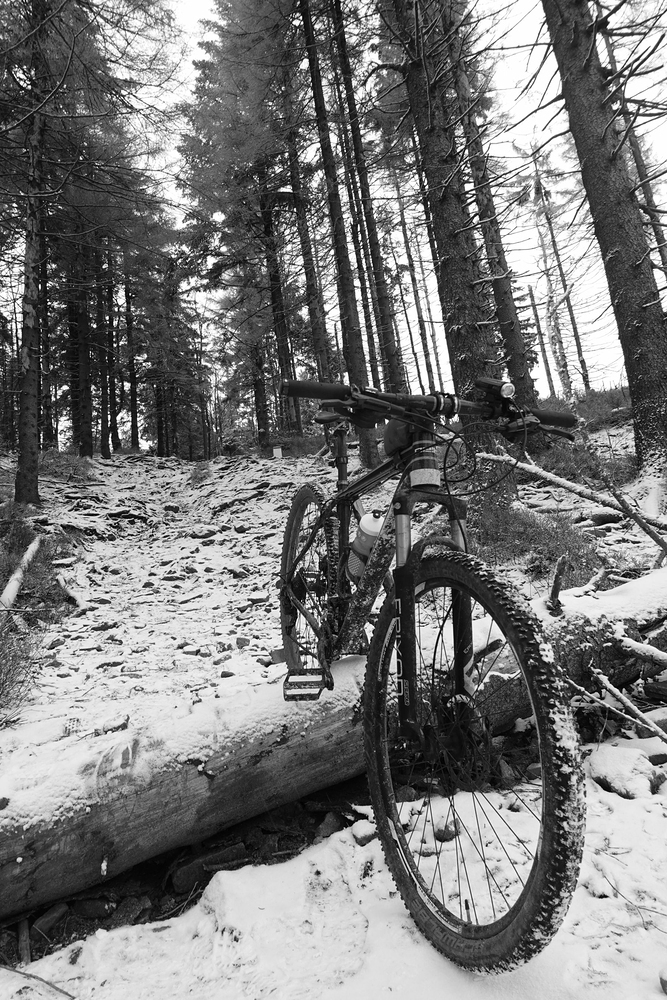 Často se přenáší a tlačí