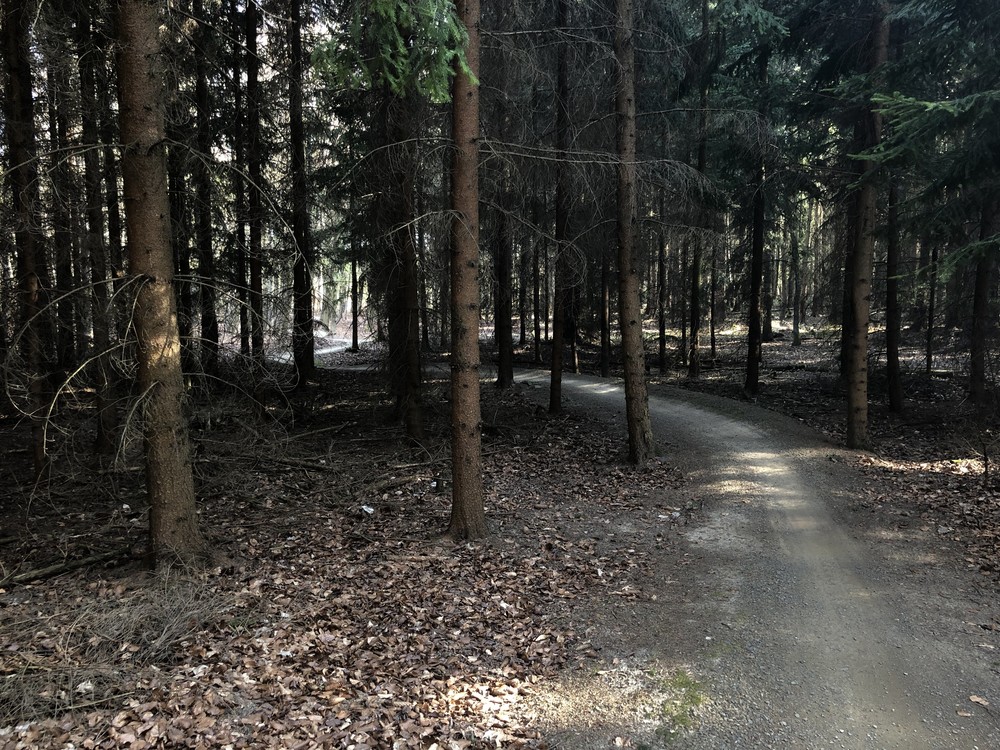 Jedovnické singletraily