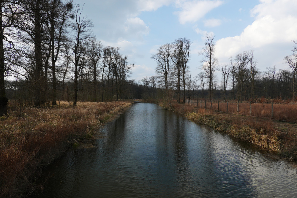 Různých kanálů je tady nepočítaně