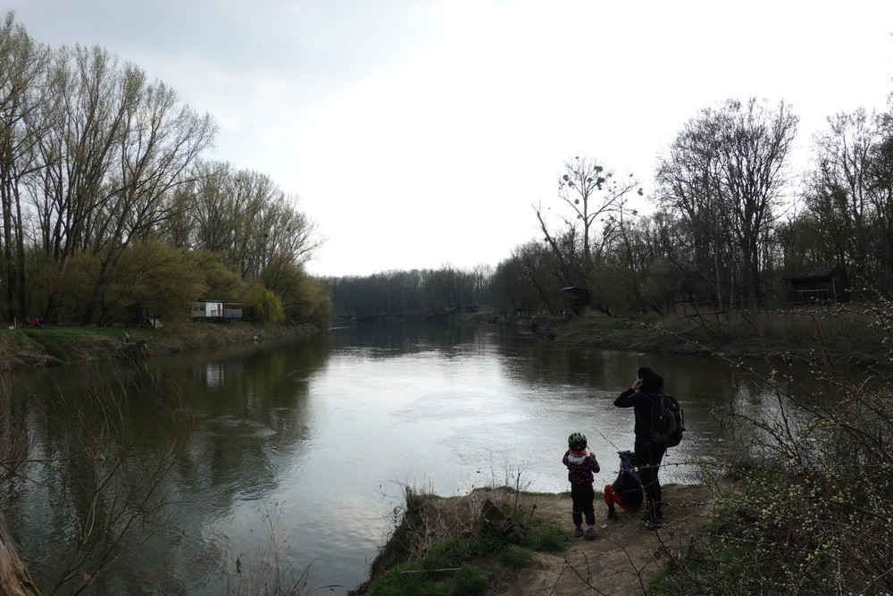 Soutok Moravy a Dyje a zároveň trojmezí.