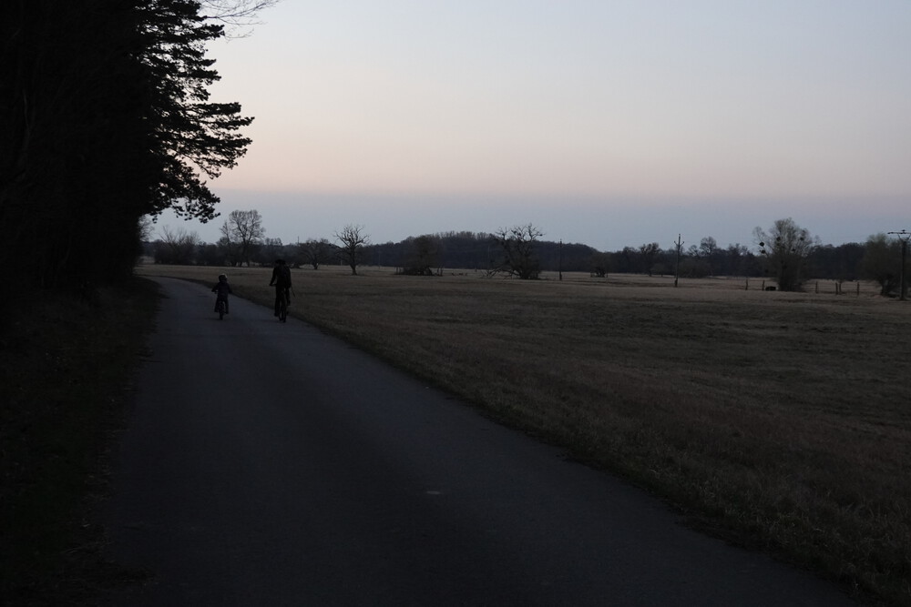 Cestou zpátky, vpravo se pásly srnky