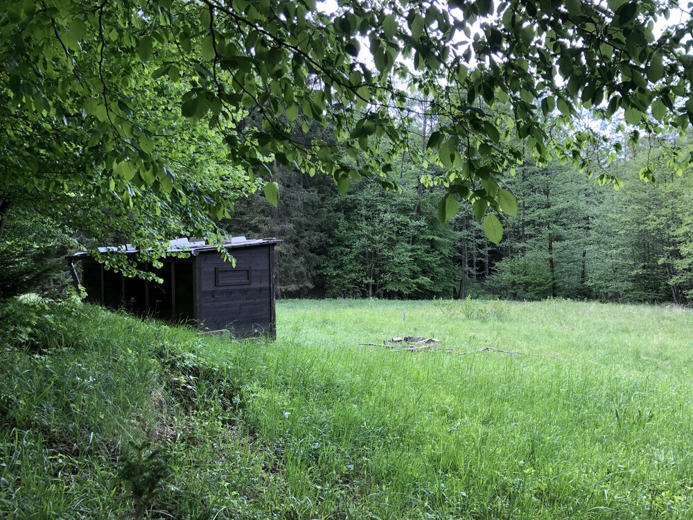 Tábořiště pod Kalečníkem