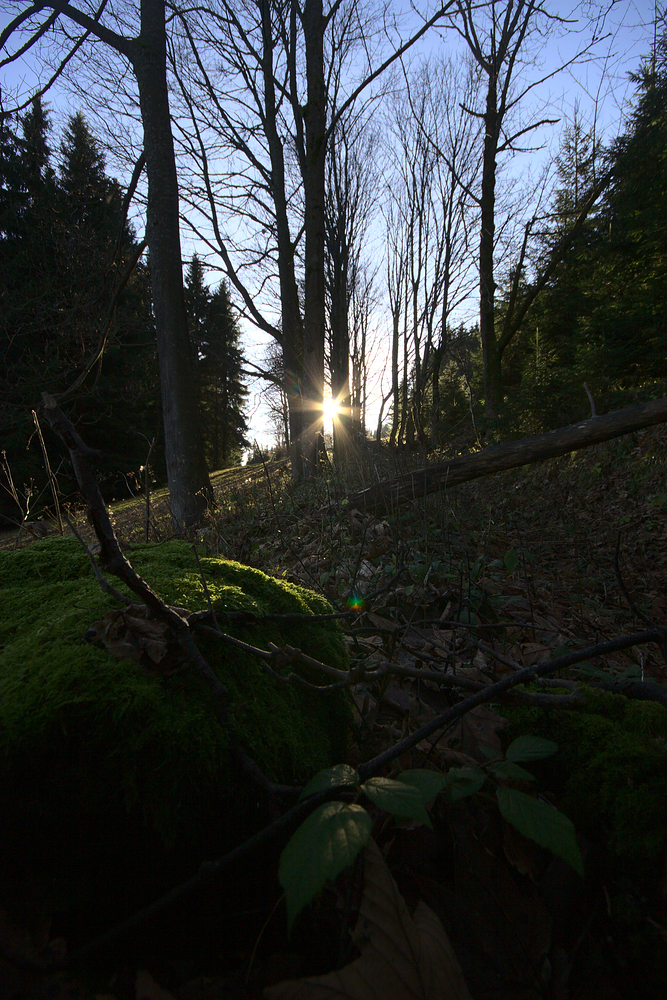 Stará cesta kousek pod chatou