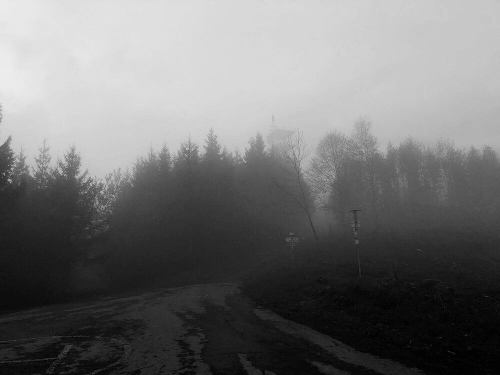 Na Javorovém mlhavo