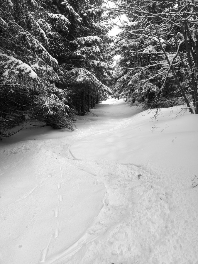 Průsek nad Margaretou