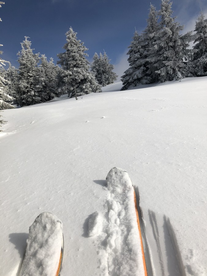 Tohle mě baví velice