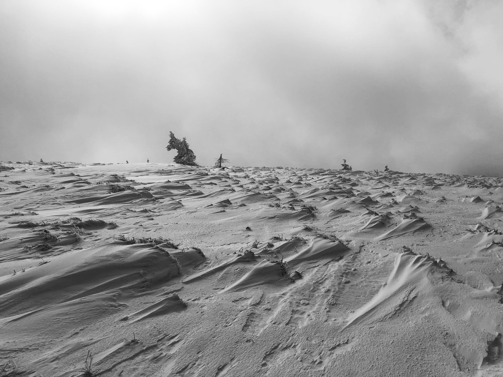 Moře na Mravenečníku