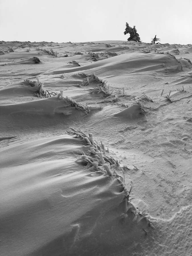 Moře na Mravenečníku