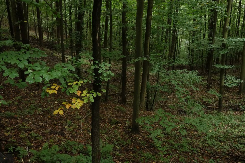 Podzim je za dveřmi