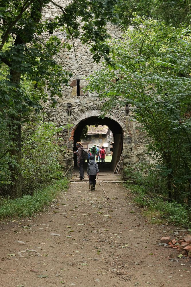 Matýsek k hradu dotáhl kládu na topení