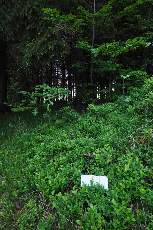 Bojovka pro děti začíná