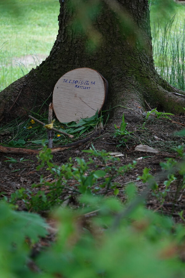 Mišička a motýlek