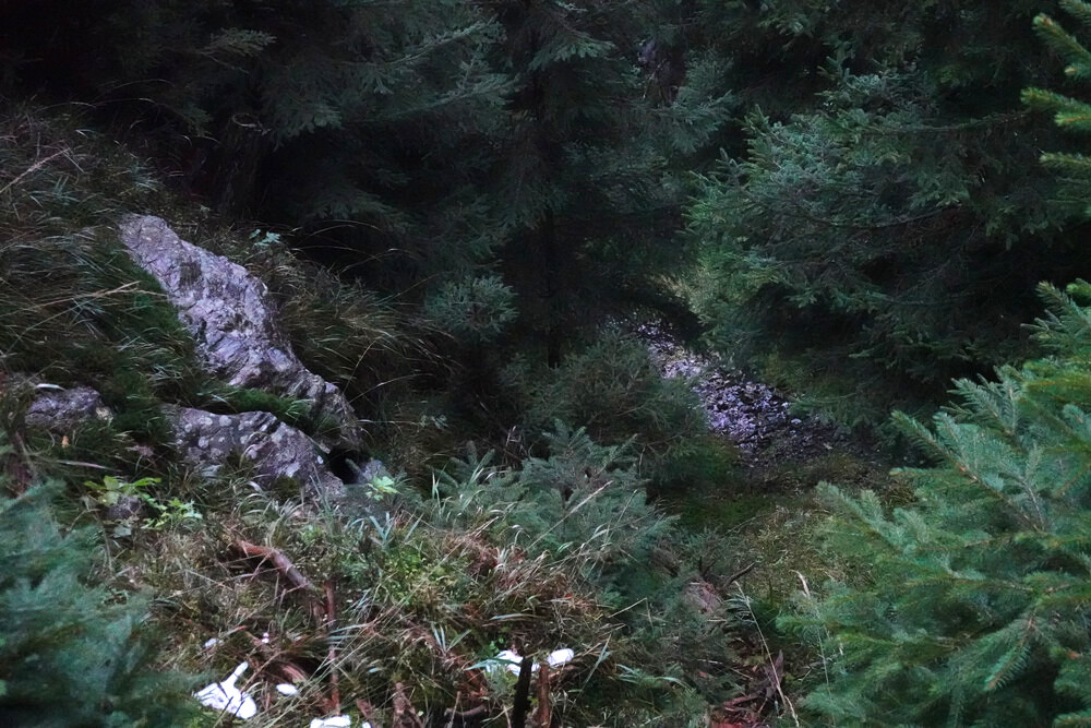 Místy slézání malých skalek