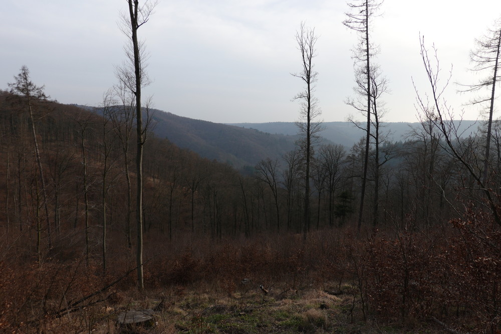 Horská krajina kousíček za Brnem