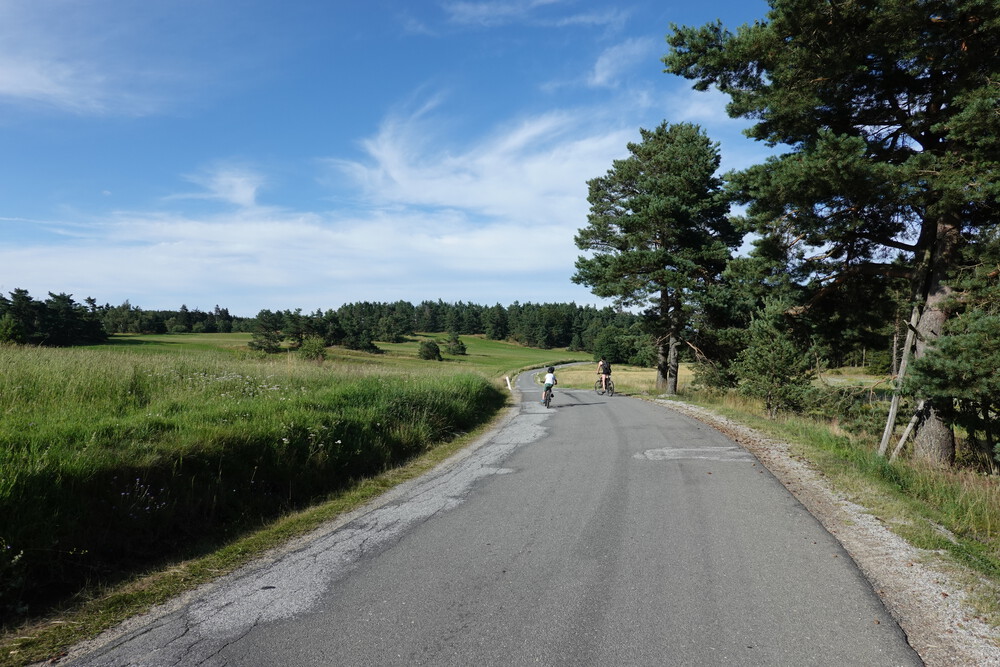 Takovou krajinou jsme celý den jezdili