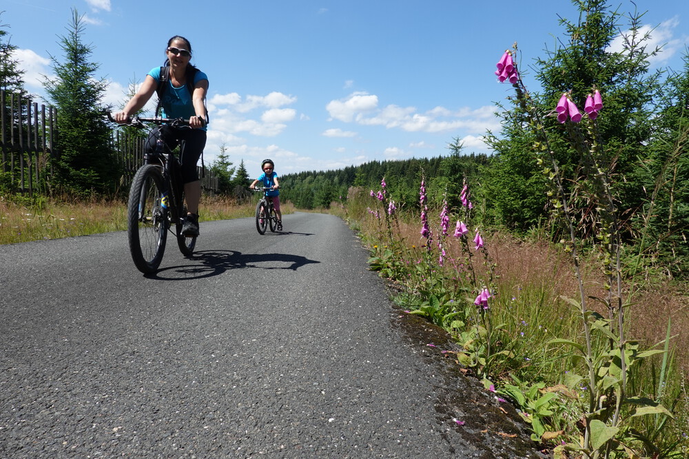Všude rostly náprstníky