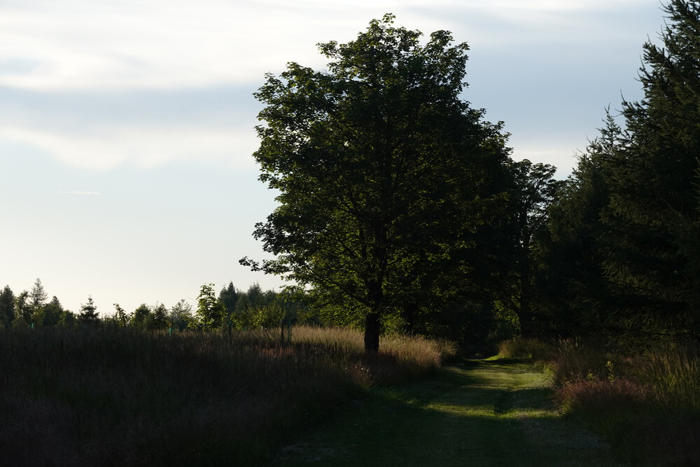 Cyklo-přechod do Německa na vysoko v horách