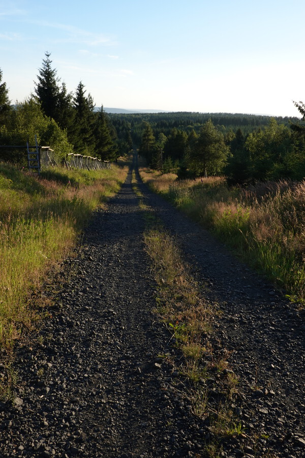 Večerní projížďka po lesích u hranic