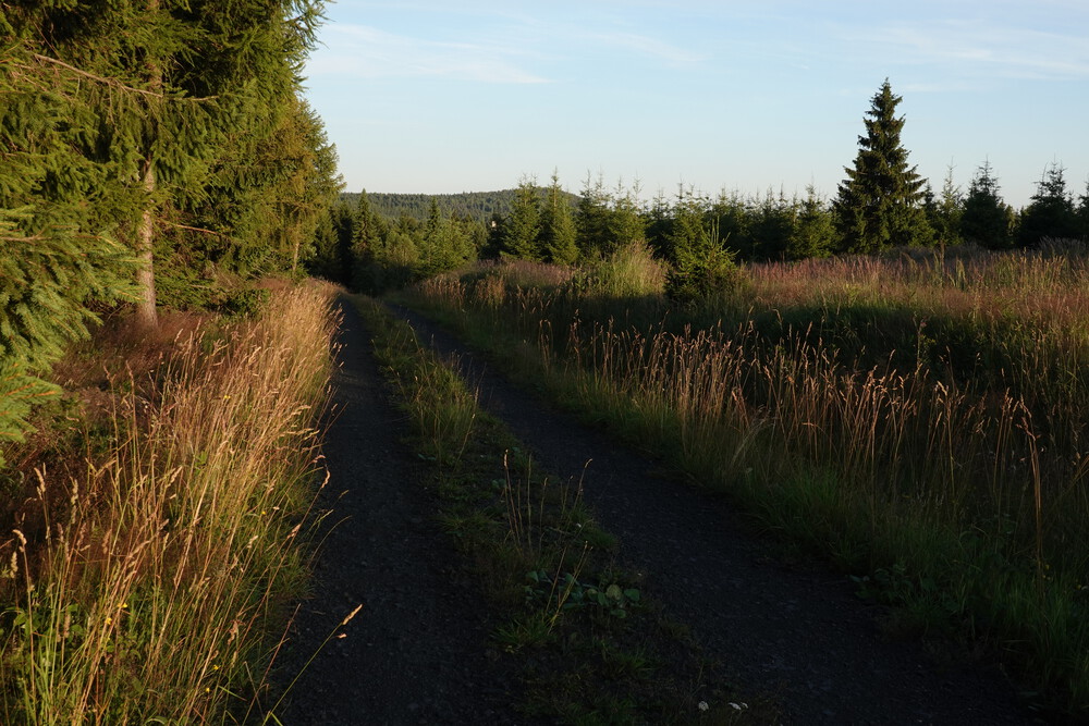 Večerní projížďka po lesích u hranic