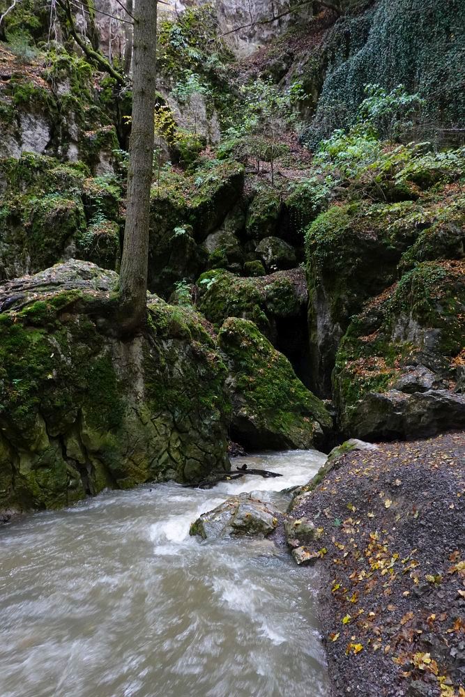 Rudické propadání, tady mizí voda v zemi