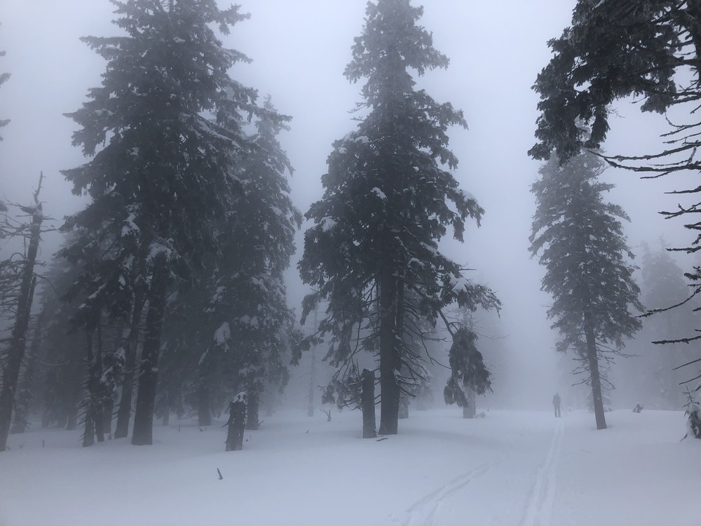 Ládin daleko v předu