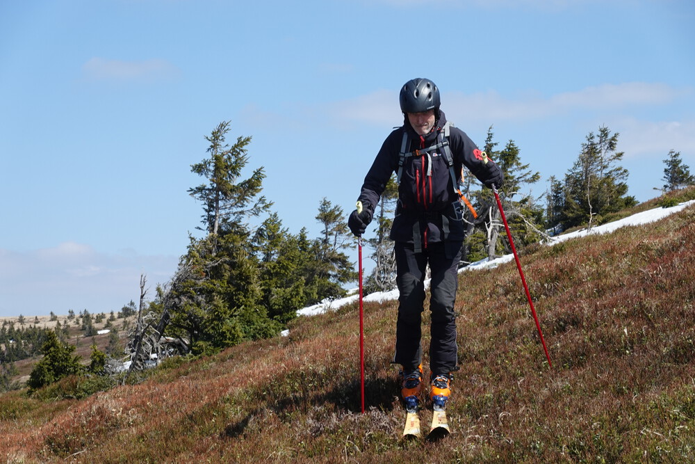 Cestou do Sviního dolu