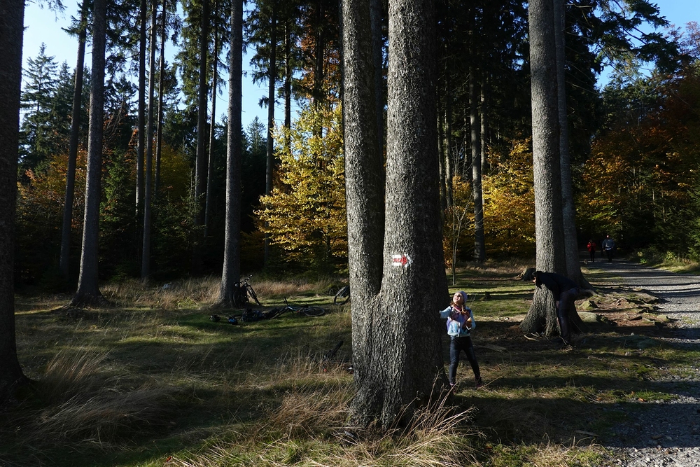 Úkol zněl prohodit šišku tou vidlicí