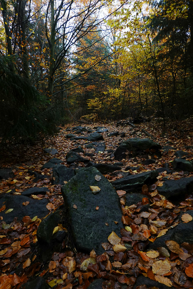 Na kole k Devíti skalám