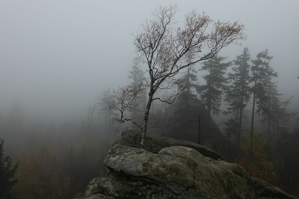 Devět skal - vrchol - nikde nikdo