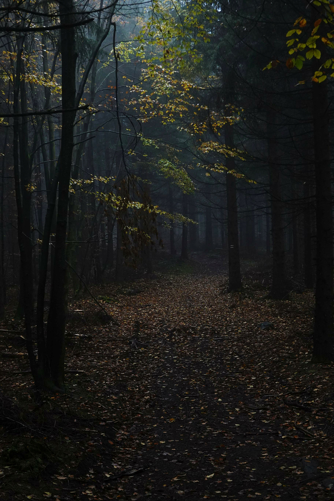 Přichází mlha a ponuro