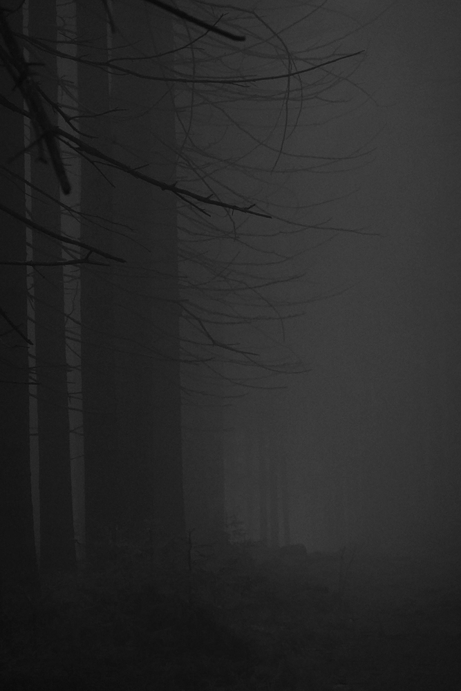 Hustá mlha, téměř se setmělo