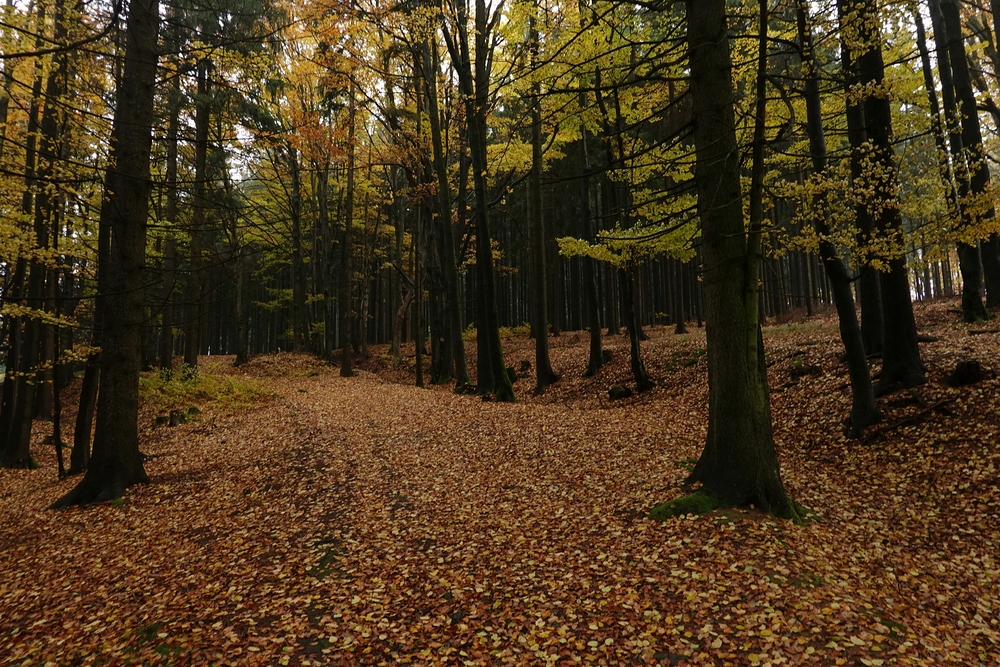 Cestou na Karlštejn