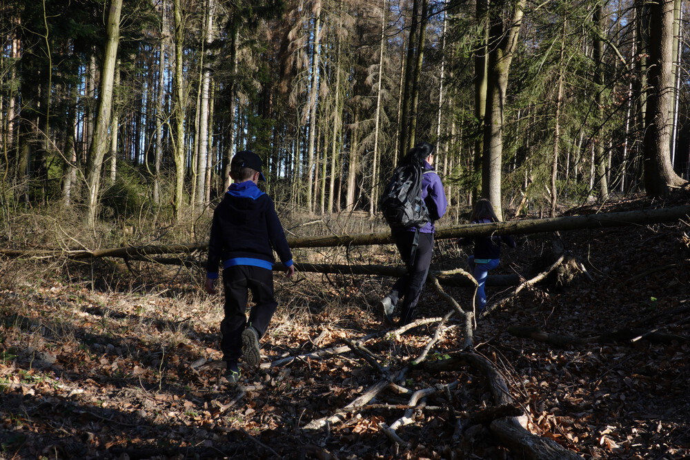 Zpočátku cestou necestou