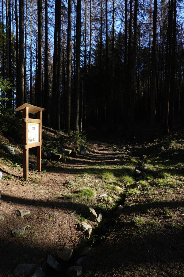 První metry toku Bobravy