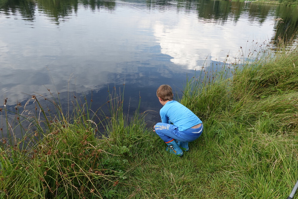Vypustit rybku, žádné zabíjení