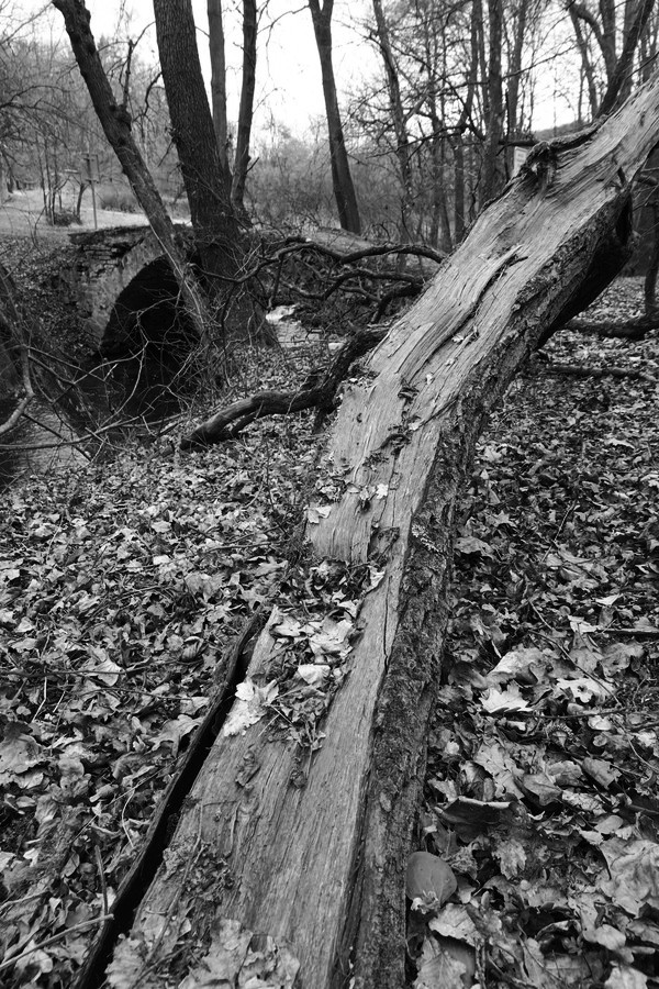 Druhá výprava - údolí Bobravy