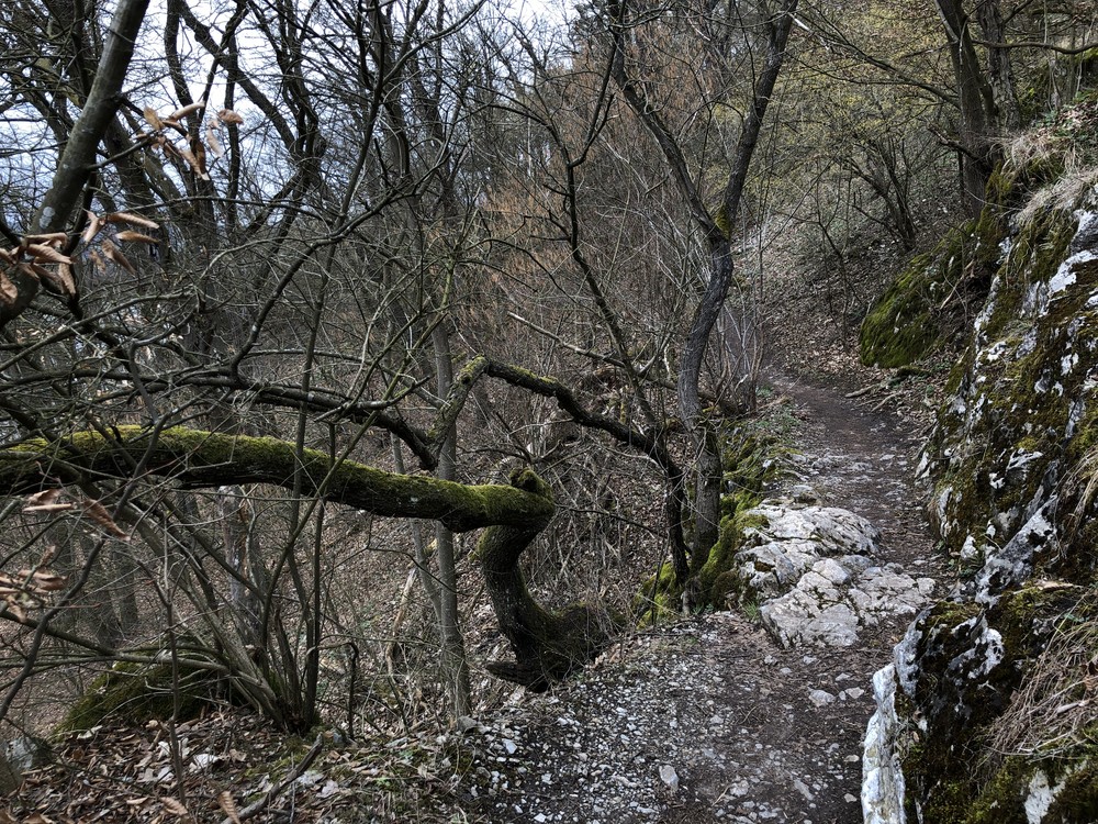 Kolem přehrady z města ven