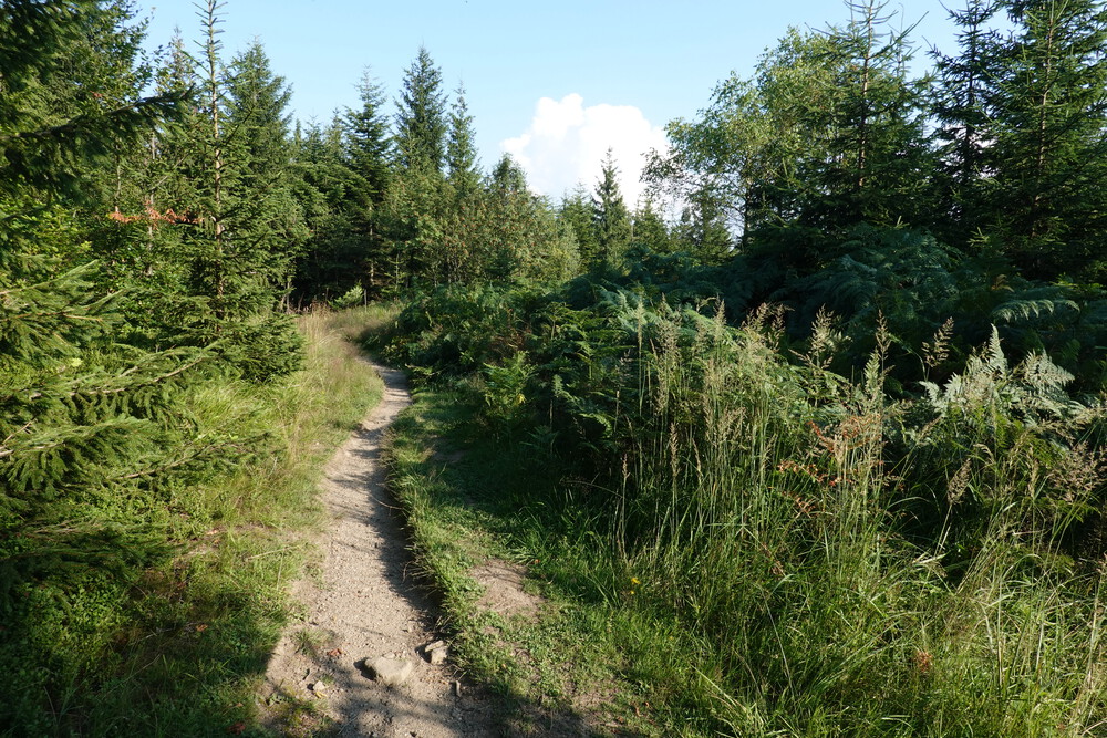 Asi nejopuštěnější část Beskyd - Malý polom