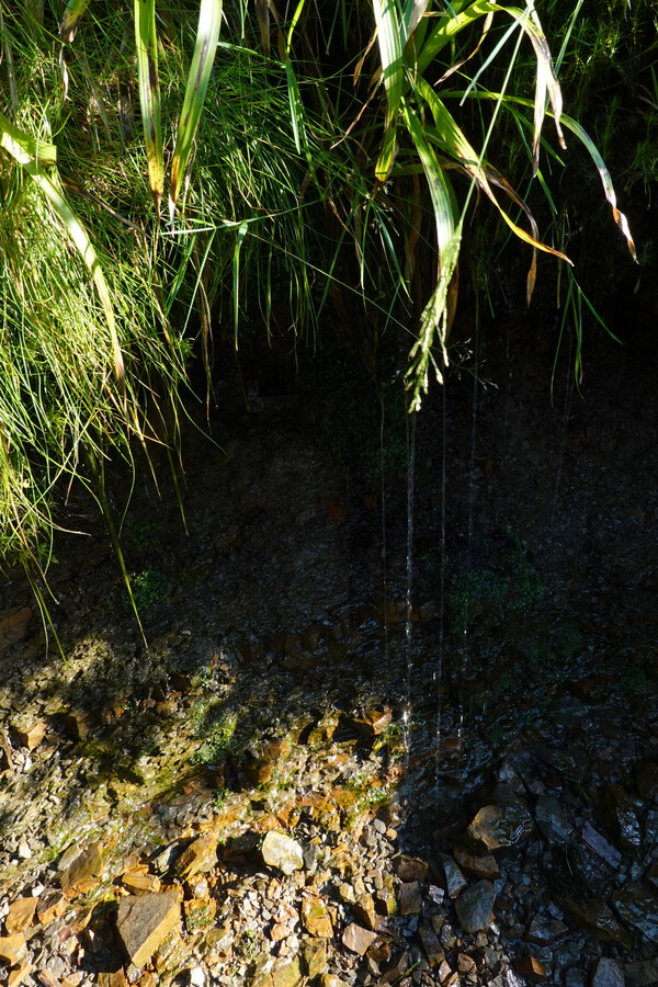 Hltám vodu z jekéhokoliv zdroje